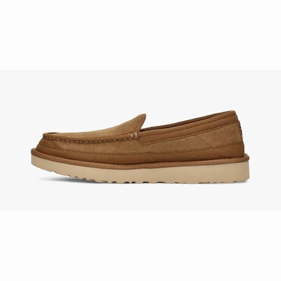 Mocassins UGG Dex Homem Marrom | PT-TMWXH